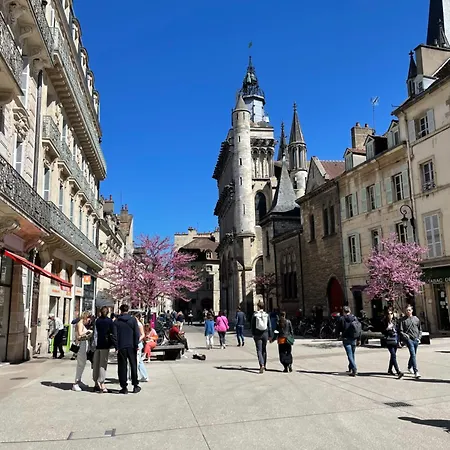 Le Petit Cordelier Apartmán
